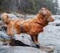 Preview: Hurtta Hunde-Regenmantel Monsoon coat orange